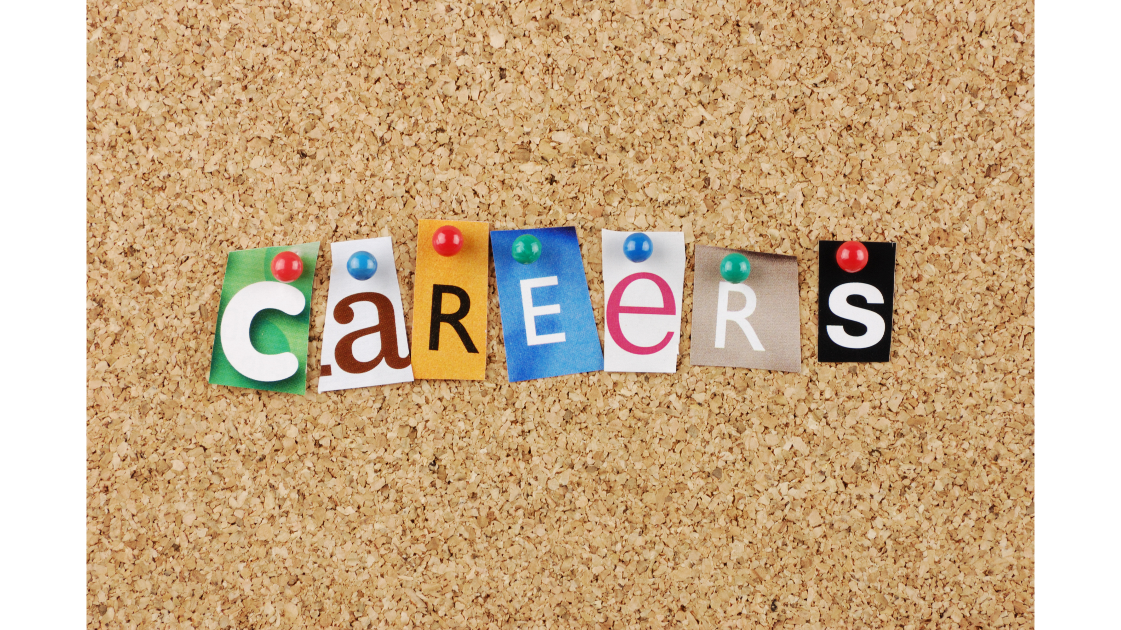 Breaking the Mold: Top 10 Offbeat Careers to Pursue in India